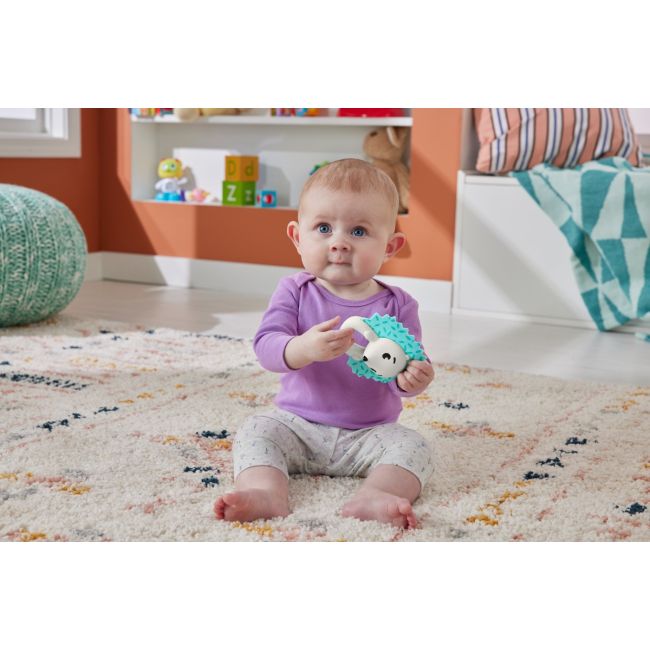 FISHER PRICE JUCARIE ZORNAITOARE ARICI VIVMTHJW11_HKD72