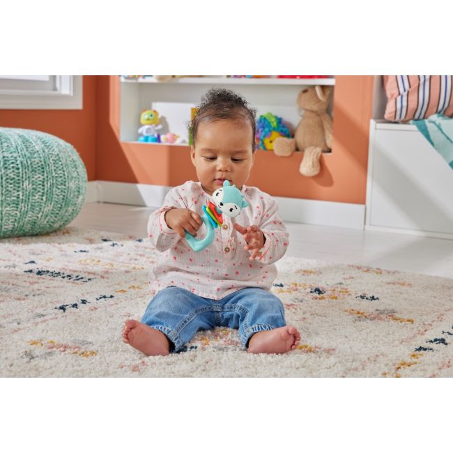 FISHER PRICE JUCARIE ZORNAITOARE CERB VIVMTHJW11_HKD68
