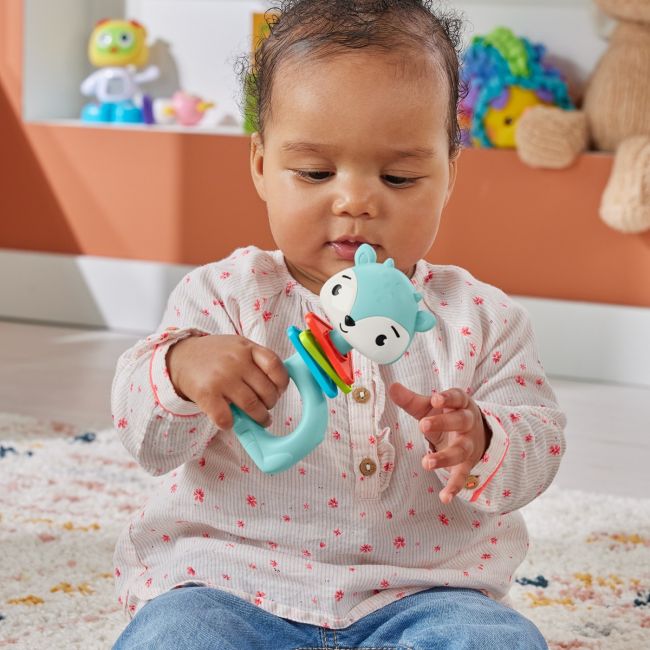 FISHER PRICE JUCARIE ZORNAITOARE CERB VIVMTHJW11_HKD68