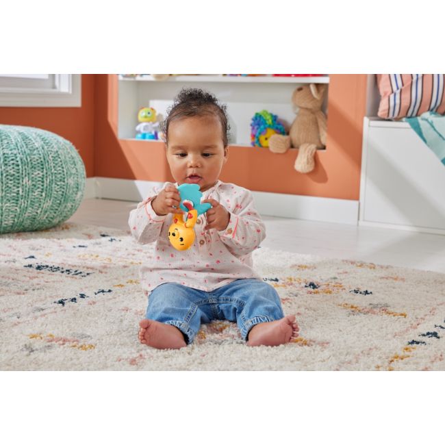 FISHER PRICE JUCARIE ZORNAITOARE VIDRA VIVMTHJW11_HKD69