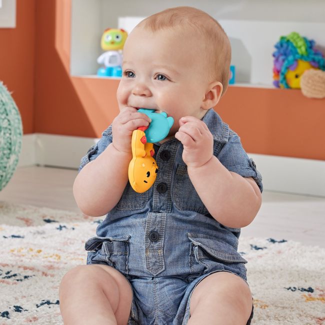 FISHER PRICE JUCARIE ZORNAITOARE VIDRA VIVMTHJW11_HKD69