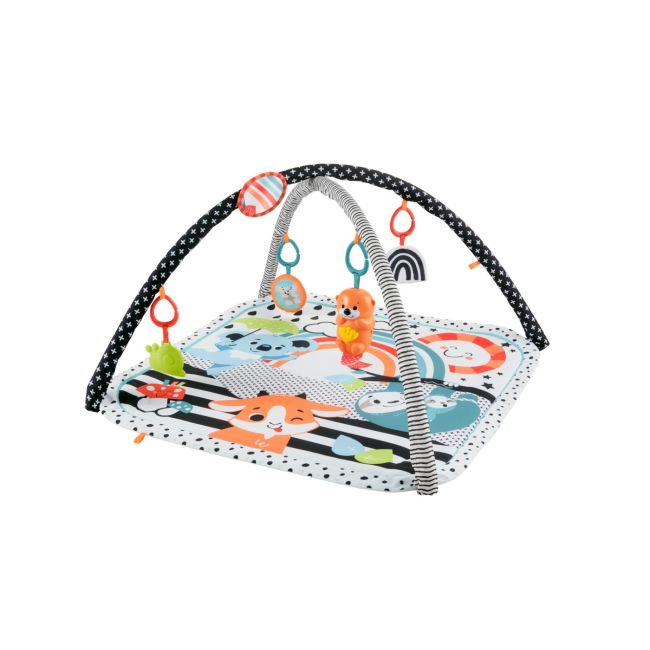 FISHER PRICE SALTEA MUZICALA 3 IN 1 CU CENTRU DE ACTIVITATI VIVMTHBP41