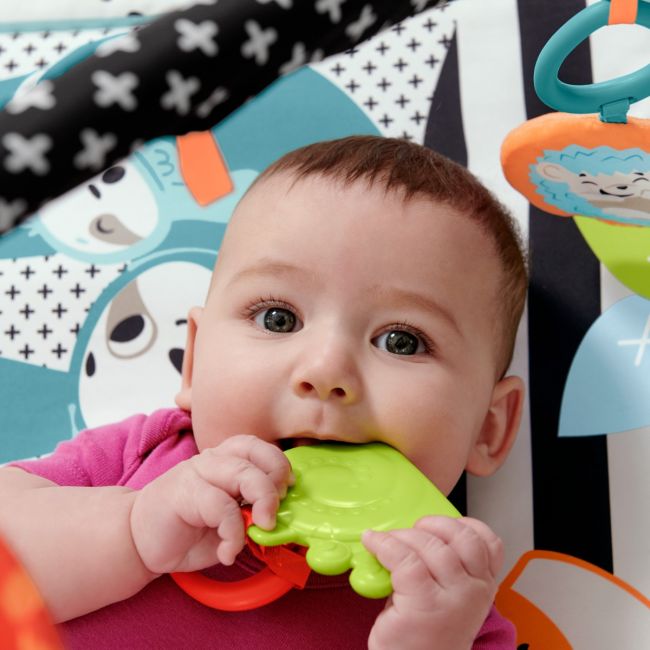 FISHER PRICE SALTEA MUZICALA 3 IN 1 CU CENTRU DE ACTIVITATI VIVMTHBP41
