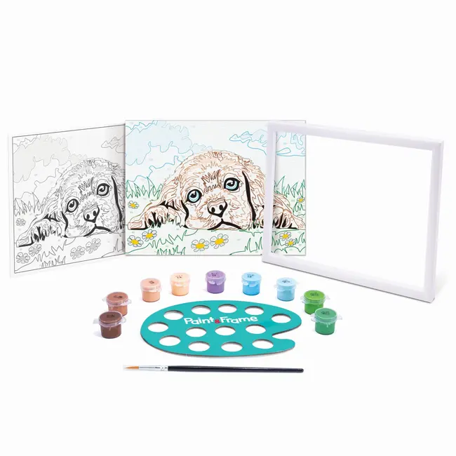 PICTEAZA SI INRAMEAZA CATELUSUL IUBITOR VIV1038-41012