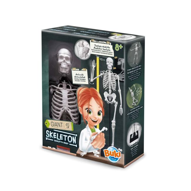 Schelet gigant 45 cm bk2180