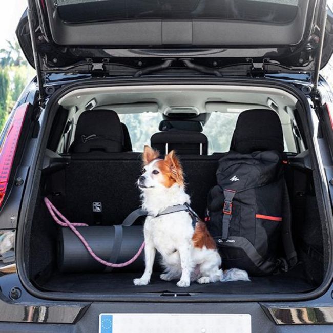 Husa de protectie auto pentru animale de companie de un loc Kabapet JUBBG-V0103278