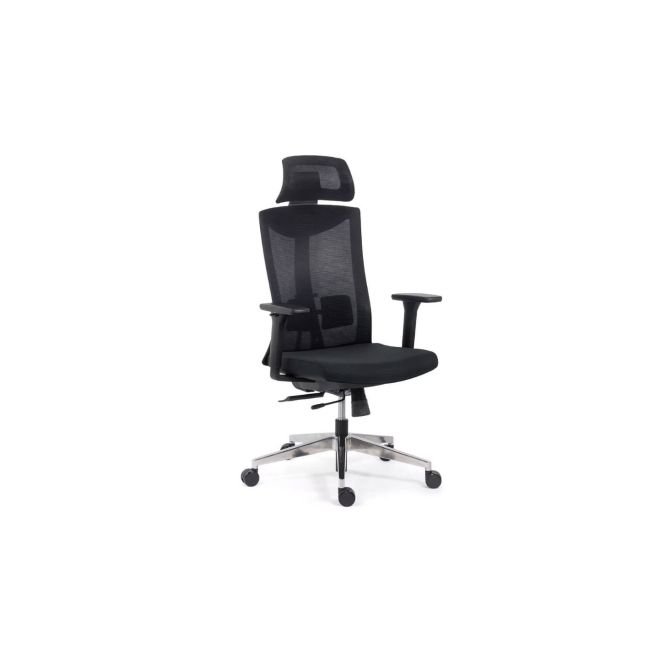 Scaun ergonomic syyt 9501, mesh, suport lombar si tetiera reglabila, sistem inclinare, cotiere ajustabile, 120 kg drm9648