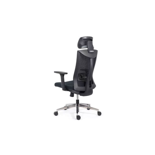 Scaun ergonomic syyt 9501, mesh, suport lombar si tetiera reglabila, sistem inclinare, cotiere ajustabile, 120 kg drm9648