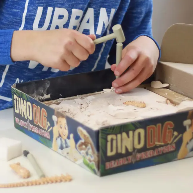 Kit de sapat - dinozaur bk2139