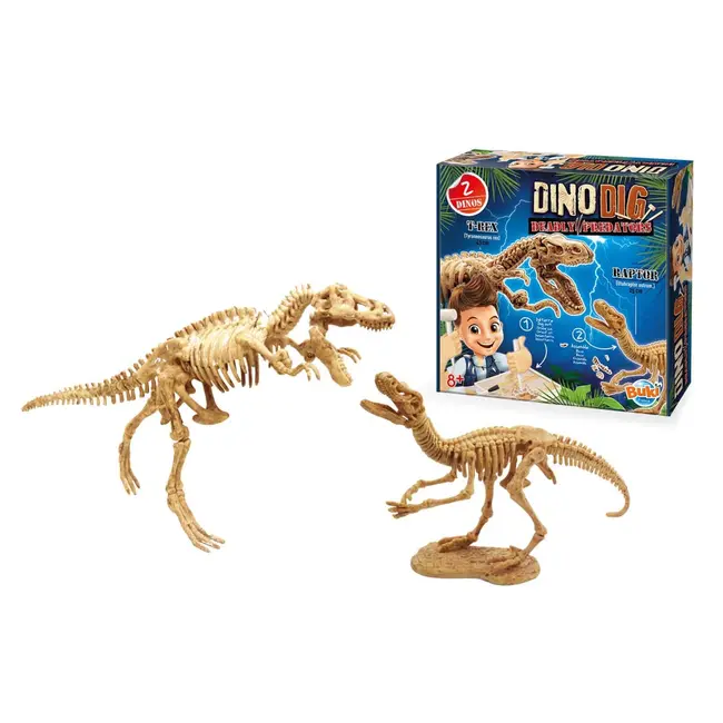 Kit de sapat - dinozaur bk2139