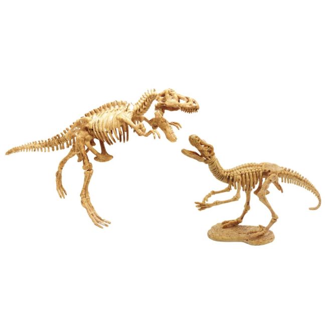 Kit de sapat - dinozaur bk2139