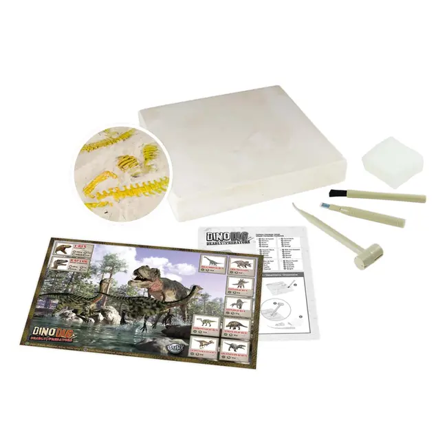 Kit de sapat - dinozaur bk2139