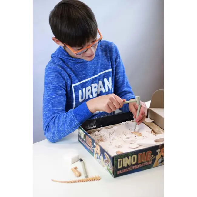 Kit de sapat - dinozaur bk2139