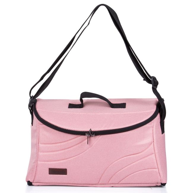 Carucior chipolino enigma 2 in 1 blush hubkken02204bh