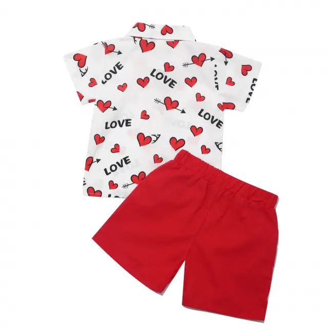 Costumas de vara pentru baietei - Love MD202303219-de2