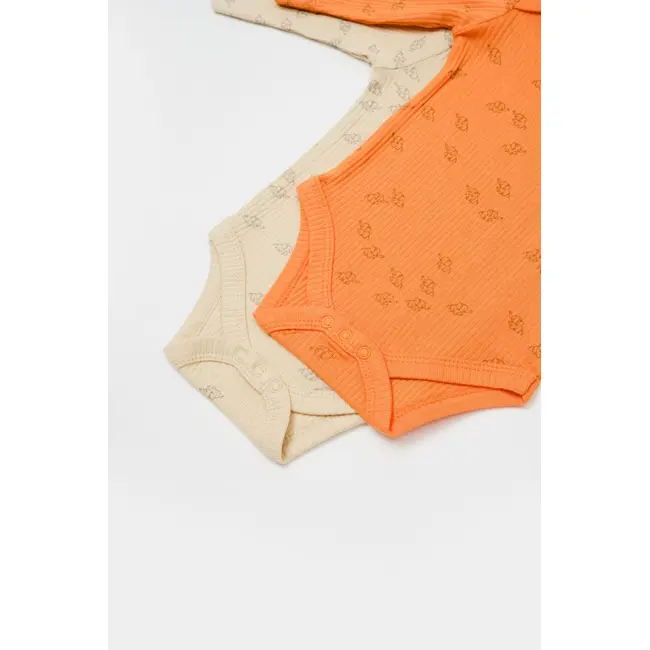 Set 2 body-uri cu maneca lunga Printed, BabyCosy, 50% modal+50% bumbac, Stone/Apricot (Marime: 18-24 Luni) JEMBC-CSYM11317-18