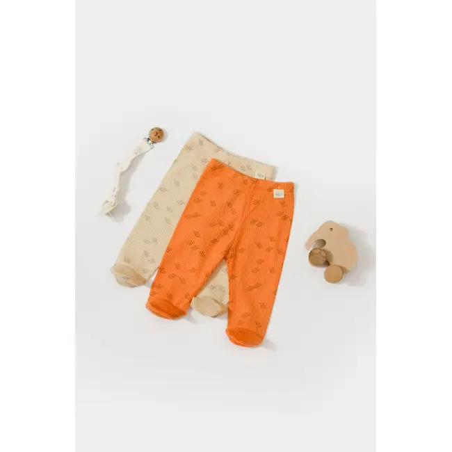 Set 2 pantalonasi cu botosei Printed, BabyCosy, 50% modal+50% bumbac, Stone/Apricot (Marime: 3-6 Luni) JEMBC-CSYM11616-3
