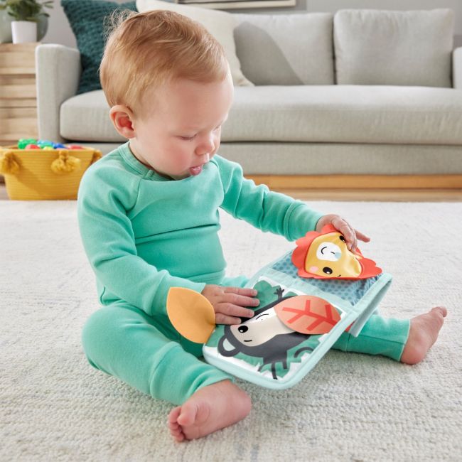 FISHER PRICE PANOU CU ACTIVITATI VIVMTHML63