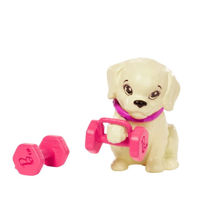 BARBIE SET DE JOACA CU ACCESORII PAPUSA BARBIE SPORTIVA VIVMTGKH73_HKT91