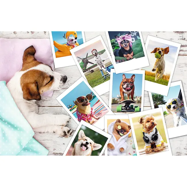 PUZZLE TREFL 300 POZE DIN VACANTA VIV23003