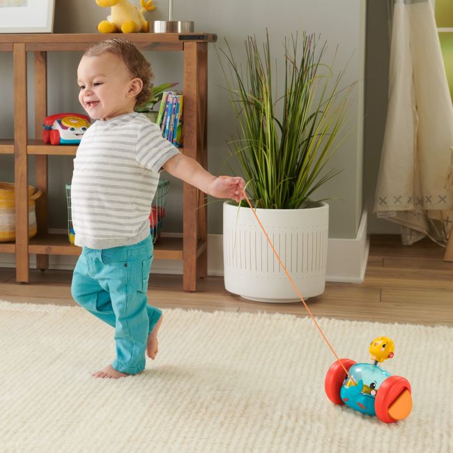 FISHER PRICE JUCARIE DE TRAS ELEFANTEL VIVMTGTK14