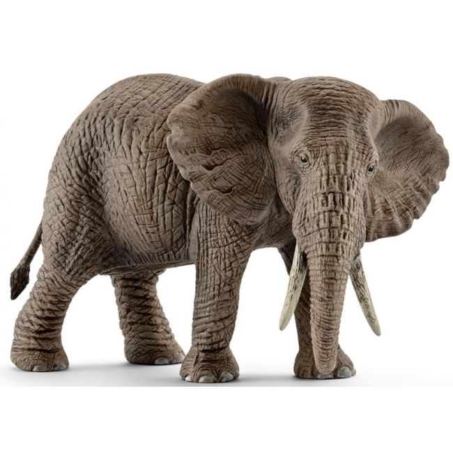 SCHLEICH Elefant african, femela VRNSL14761