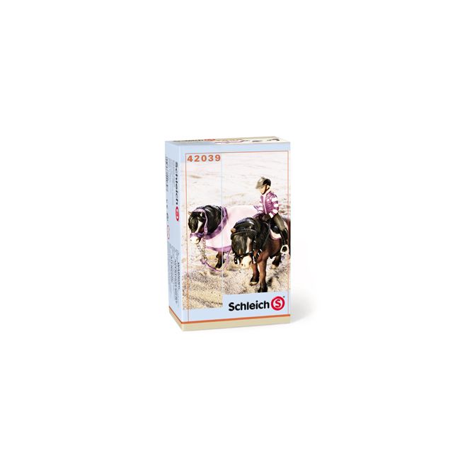 Set Calarie Ponei