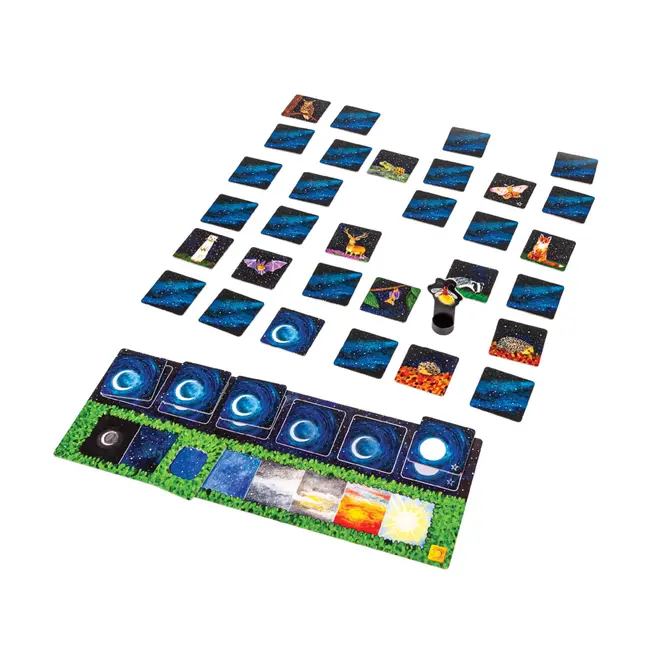 Joc cooperativ de memorie - Animale nocturne (Nocturnally) TSGSUN-033