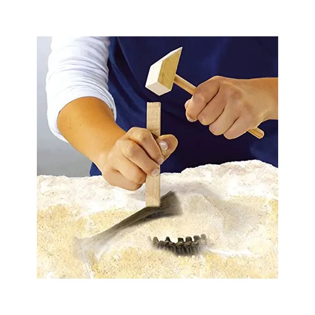 Set creativ - Dezgroapa un T-rex TSG25028