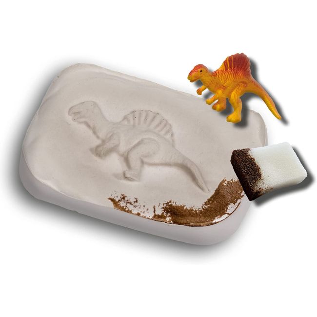 Set creativ - Exploreaza fosile de Dinozaur TSG25077