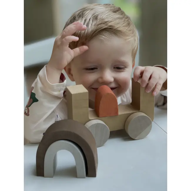 Jucarie din lemn - Masina Curcubeu TSGRC4