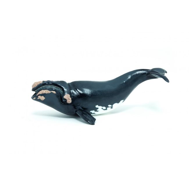 PAPO FIGURINA BALENA VIVPapo56057