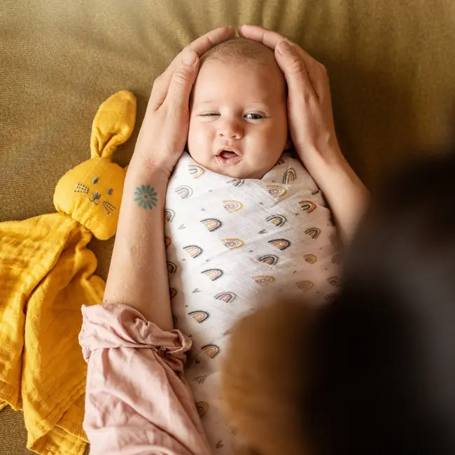 Petite&Mars - Set 2 scutece din muselina de bambus Misty Rose Rainbow, Hipoalergenice, Dimensiuni mari 120 x 120 cm, Certificate Oeko Tex Standard 100, Multicolor BYN417362