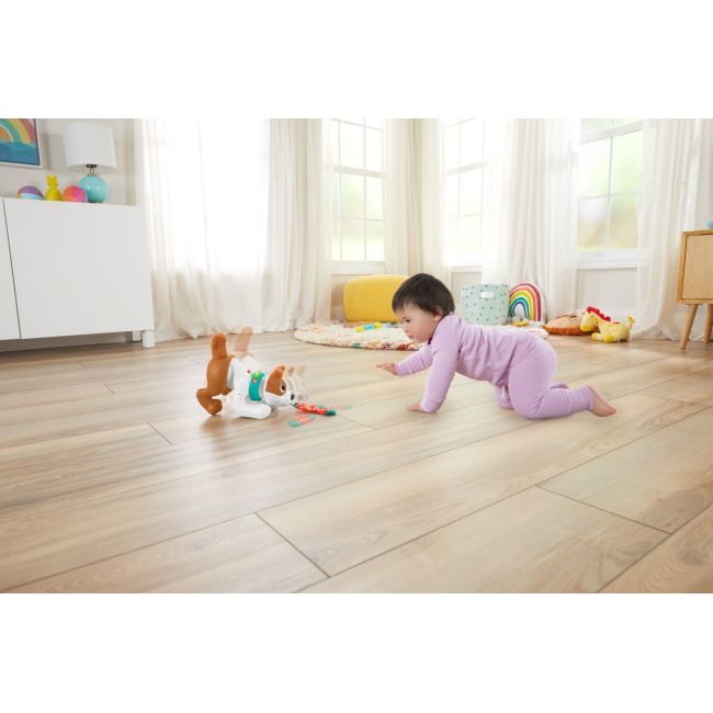 FISHER PRICE CATELUS CRAWL WITH ME VIVMTHHH18