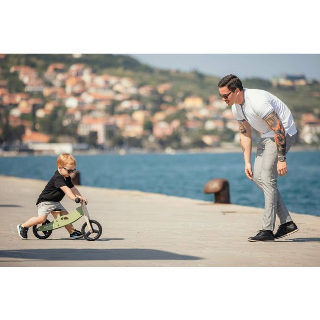 Bicicleta/tricicleta fara pedale din lemn, 2 in 1, Functie de bicicleta echilibru, Scaun reglabil, Roti ajustabile, Manere antiderapante, Varsta 1-3 ani, Free2Move, Mint BYN39623