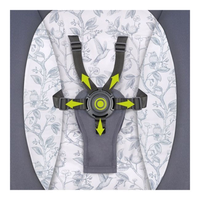 Lionelo - Balansoar si sezlong copii, Ralf, 2 in 1, Electric, Cu telecomanda si cablu USB, Cu miscare laterala de balansare si 5 niveluri diferite de viteza, Cu 12 melodii, Gri Grafit BYNLO-RALF_GREY_GRAPHITE