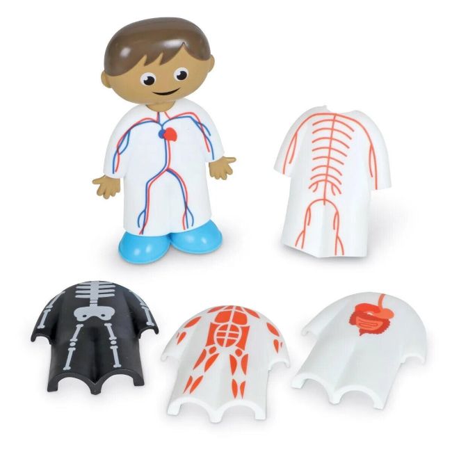 Set activitati educative - corpul uman