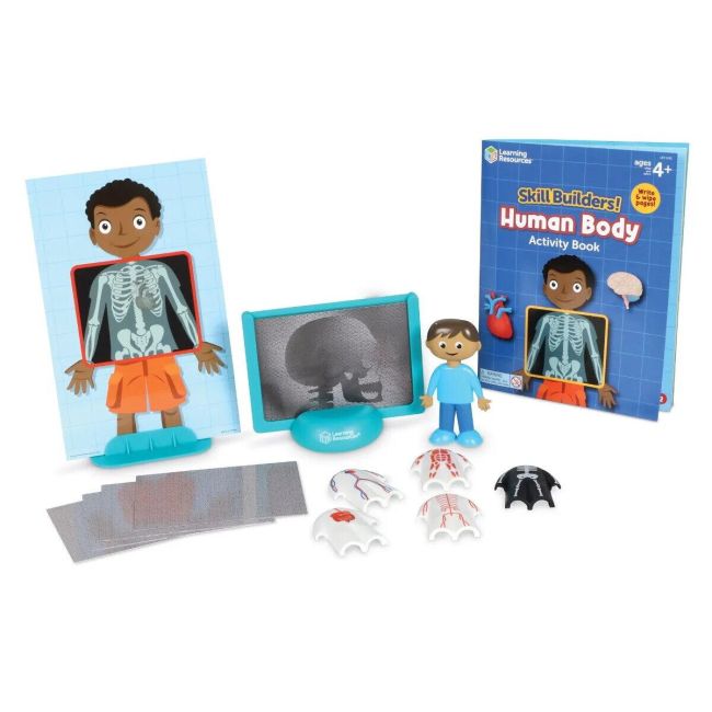 Set activitati educative - corpul uman