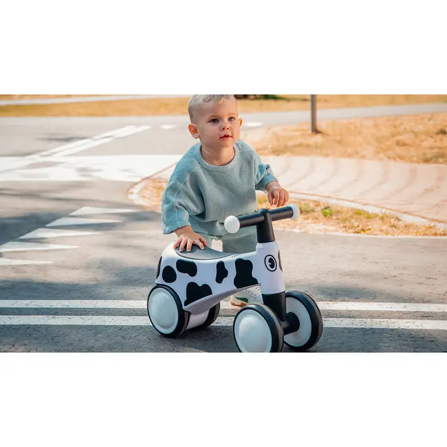 Lionelo - Bicicleta fara pedale, Sammy, Cu 4 roti, Din spuma EVA, Stabila, Manere moi, antiderapante, 12- 36 luni, Greutate maxima suportata 25 kg, Certificata EN 71-1:2014, EN 71-2:2011, EN 71-3:2019, Galben BYNLOE-SAMMY_YELLOW_HONEY