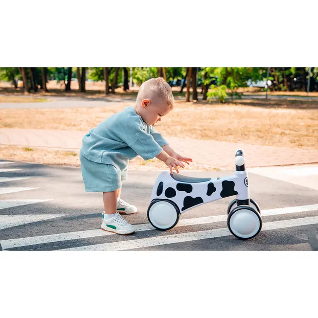 Lionelo - Bicicleta fara pedale, Sammy, Cu 4 roti, Din spuma EVA, Stabila, Manere moi, antiderapante, 12- 36 luni, Greutate maxima suportata 25 kg, Certificata EN 71-1:2014, EN 71-2:2011, EN 71-3:2019, Galben BYNLOE-SAMMY_YELLOW_HONEY