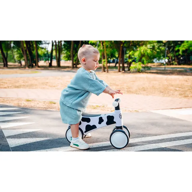 Lionelo - Bicicleta fara pedale, Sammy, Cu 4 roti, Din spuma EVA, Stabila, Manere moi, antiderapante, 12- 36 luni, Greutate maxima suportata 25 kg, Certificata EN 71-1:2014, EN 71-2:2011, EN 71-3:2019, Galben BYNLOE-SAMMY_YELLOW_HONEY