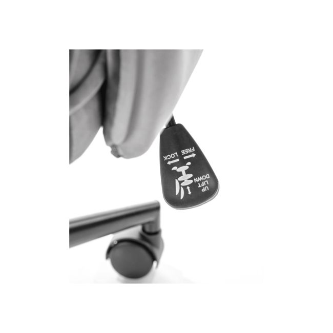 Fotoliu directorial hm tulip gri drm10115