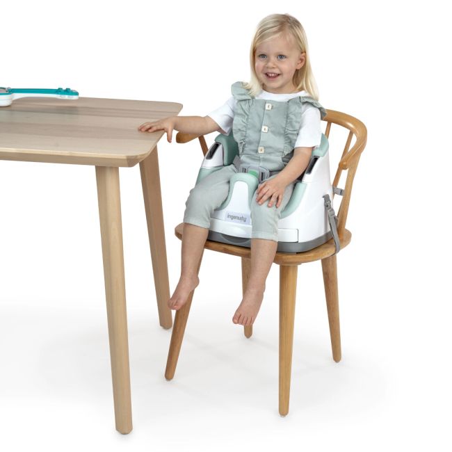 Ingenuity - scaun masa 2 in 1 mist bbb16728