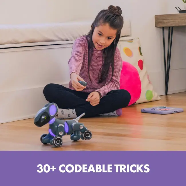 Pyxel - prietenul programatorului