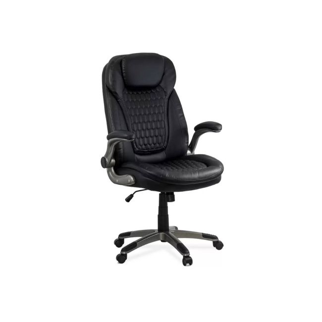 Scaun directorial off 320, piele ecologica, sezut cu arcuri, brate rabatabile, cadru polipropilena, 130 kg, negru drm10073
