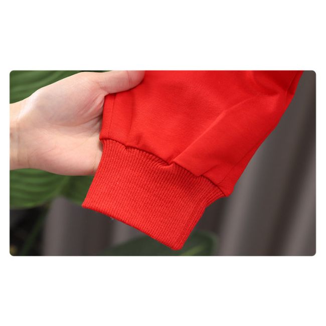 Trening pentru baietei - red teddy (marime disponibila: 6-9 luni (marimea 19 incaltaminte)) md552-2-de3.6-9 luni (marimea 19 incaltaminte)