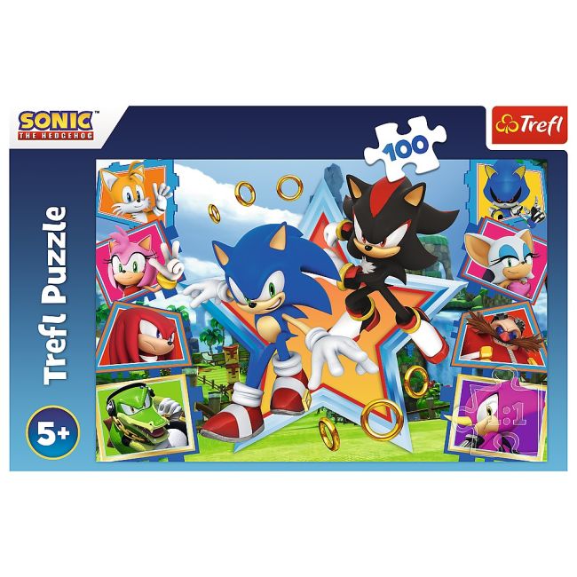 PUZZLE TREFL 100 SONIC MINUNATA LUME A LUI SONIC VIV16465