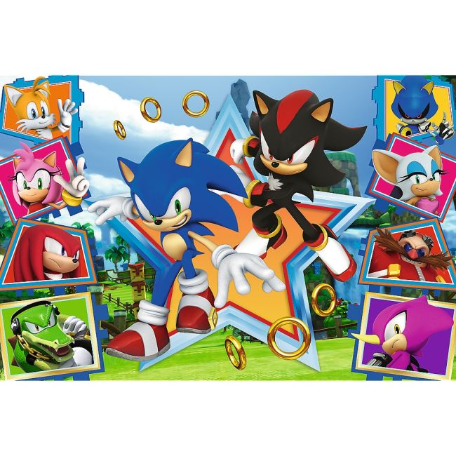 PUZZLE TREFL 100 SONIC MINUNATA LUME A LUI SONIC VIV16465