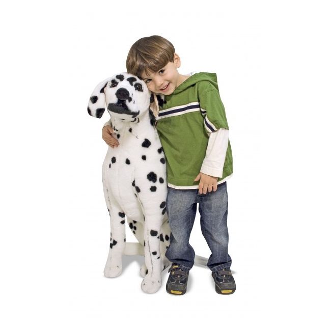 Catel dalmatian din plus - okemd2110