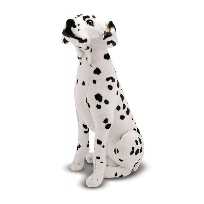 Catel dalmatian din plus - okemd2110